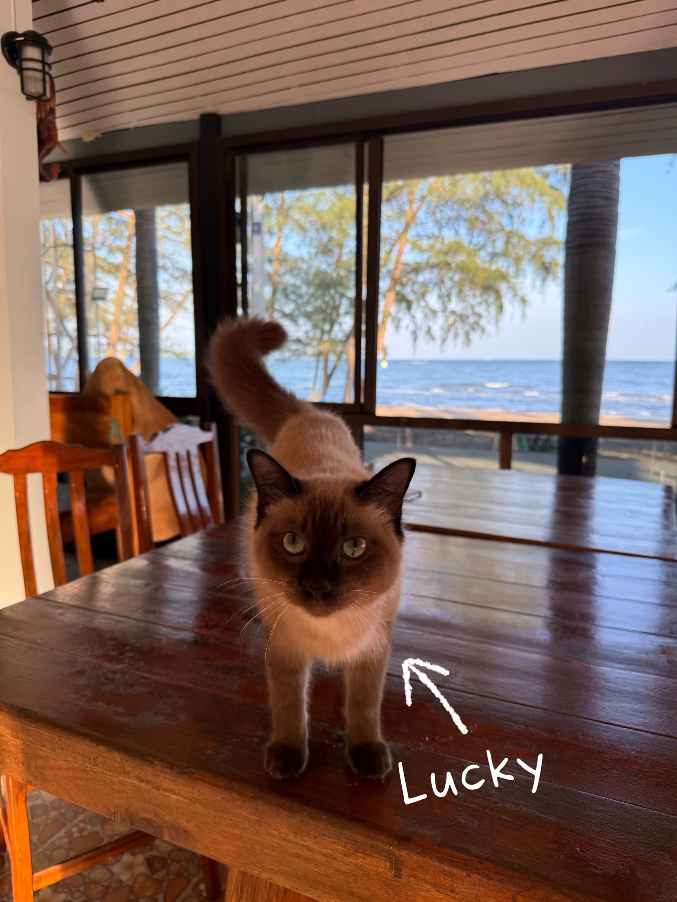 Lucky